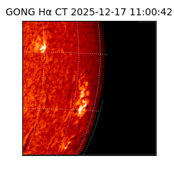gong - 2025-12-17T11:00:42