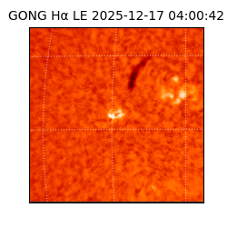 gong - 2025-12-17T04:00:42