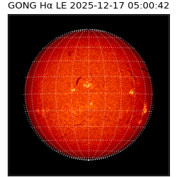 gong - 2025-12-17T05:00:42