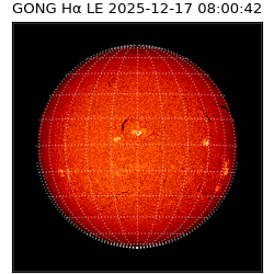 gong - 2025-12-17T08:00:42