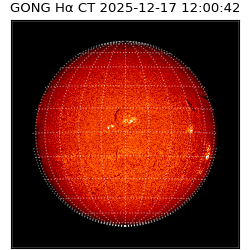 gong - 2025-12-17T12:00:42