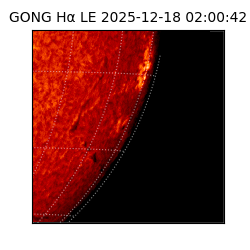 gong - 2025-12-18T02:00:42