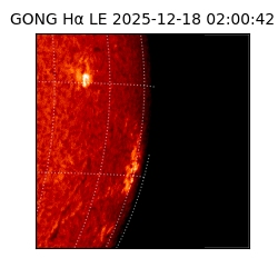 gong - 2025-12-18T02:00:42