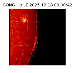 gong - 2025-12-18T09:00:42