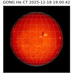 gong - 2025-12-18T19:00:42