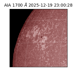 saia - 2025-12-19T23:00:28.710000