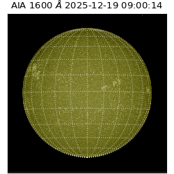 saia - 2025-12-19T09:00:14.126000