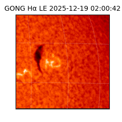gong - 2025-12-19T02:00:42