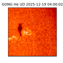 gong - 2025-12-19T04:00:02