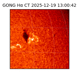 gong - 2025-12-19T13:00:42