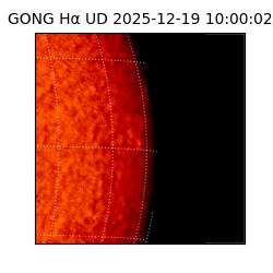 gong - 2025-12-19T10:00:02