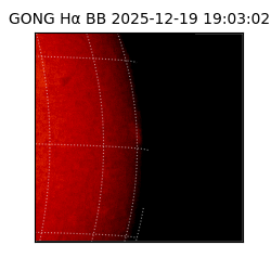 gong - 2025-12-19T19:03:02
