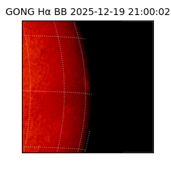 gong - 2025-12-19T21:00:02