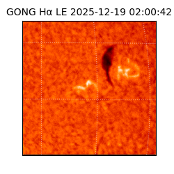 gong - 2025-12-19T02:00:42