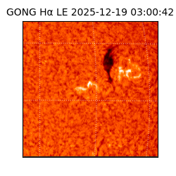gong - 2025-12-19T03:00:42