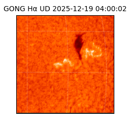 gong - 2025-12-19T04:00:02