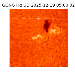 gong - 2025-12-19T05:00:02