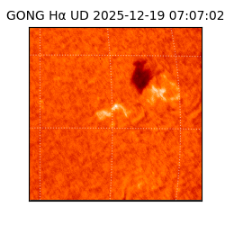 gong - 2025-12-19T07:07:02