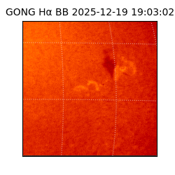 gong - 2025-12-19T19:03:02