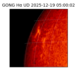 gong - 2025-12-19T05:00:02