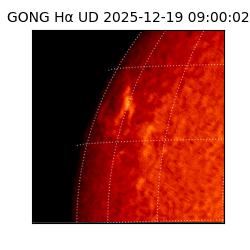 gong - 2025-12-19T09:00:02