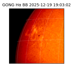 gong - 2025-12-19T19:03:02