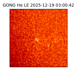 gong - 2025-12-19T03:00:42