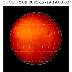 gong - 2025-12-19T19:03:02
