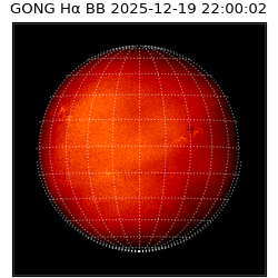 gong - 2025-12-19T22:00:02