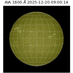 saia - 2025-12-20T09:00:14.126000