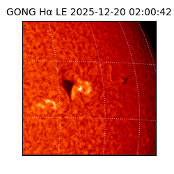 gong - 2025-12-20T02:00:42