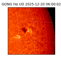 gong - 2025-12-20T06:00:02