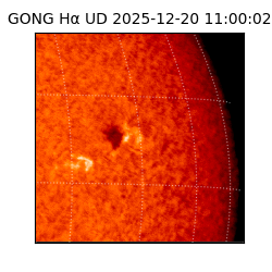 gong - 2025-12-20T11:00:02