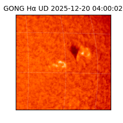 gong - 2025-12-20T04:00:02