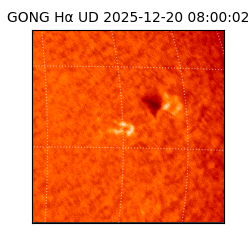 gong - 2025-12-20T08:00:02