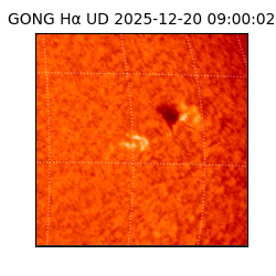 gong - 2025-12-20T09:00:02