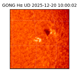 gong - 2025-12-20T10:00:02