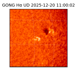 gong - 2025-12-20T11:00:02