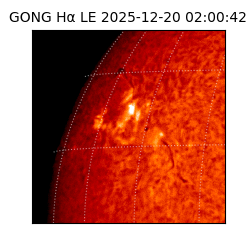 gong - 2025-12-20T02:00:42