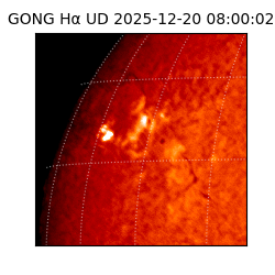 gong - 2025-12-20T08:00:02
