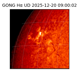 gong - 2025-12-20T09:00:02