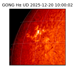 gong - 2025-12-20T10:00:02