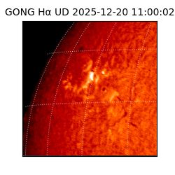 gong - 2025-12-20T11:00:02