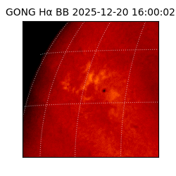 gong - 2025-12-20T16:00:02