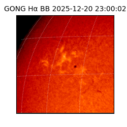 gong - 2025-12-20T23:00:02