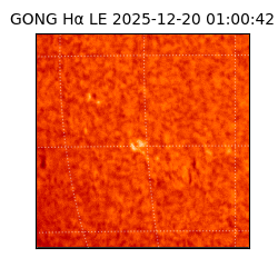 gong - 2025-12-20T01:00:42