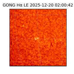 gong - 2025-12-20T02:00:42