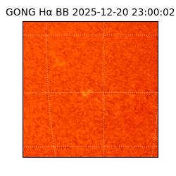 gong - 2025-12-20T23:00:02