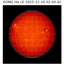 gong - 2025-12-20T02:00:42
