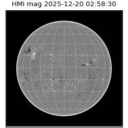 shmi - 2025-12-20T02:58:30